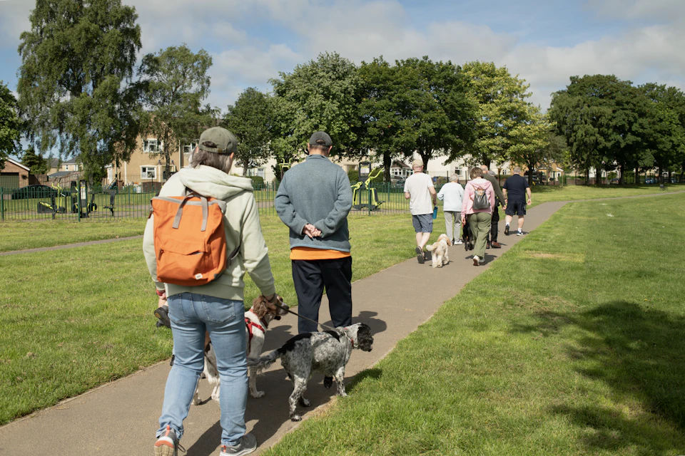 Group of people walking dogs on a sunny park path